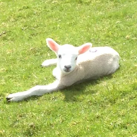 Rebels Hide -self Check In