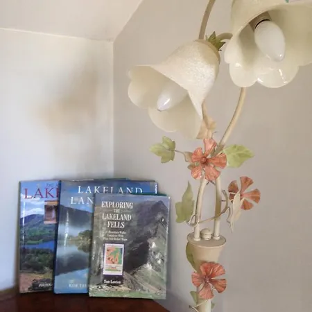 Rebels Hide -self Check In