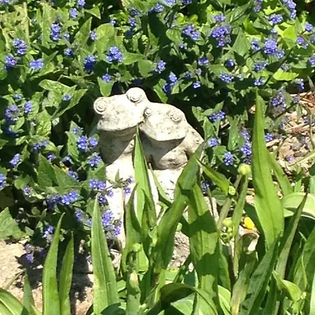 Rebels Hide -self Check In 3*