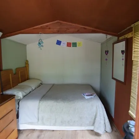 Rebels Hide -self Check In Clifton