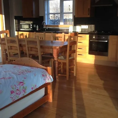 ゲストハウス Rebels Hide -self Check In 3*