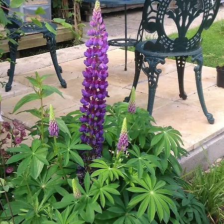 Gæstehus Rebels Hide -self Check In Clifton (Cumbria)