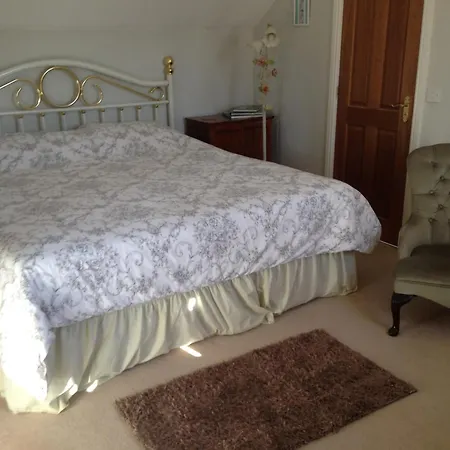 Rebels Hide -self Check In