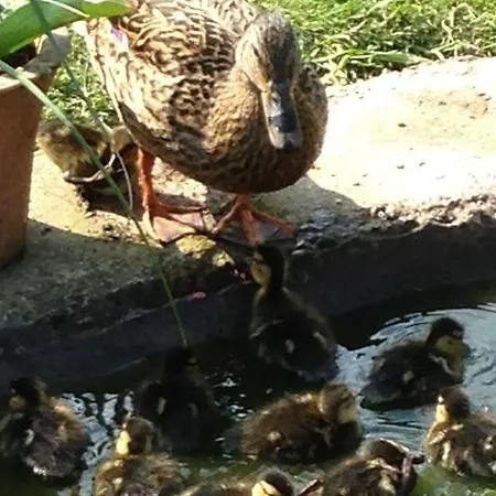 Rebels Hide -self Check In Clifton (Cumbria)