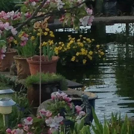 Rebels Hide -self Check In 3*