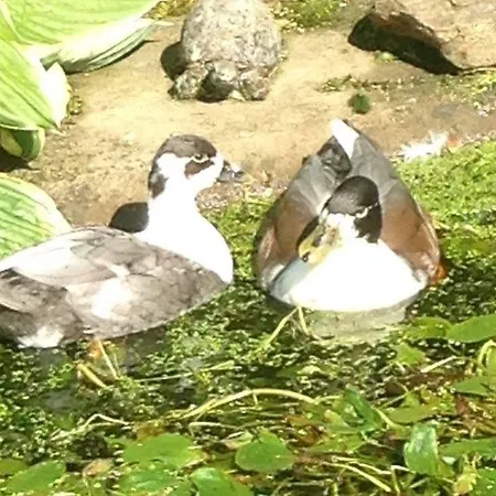 Rebels Hide -self Check In בית הארחה 3*