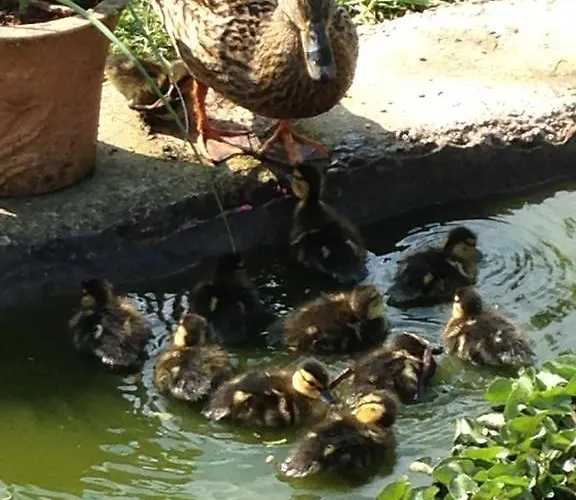 بيت ضيافة Rebels Hide -self Check In