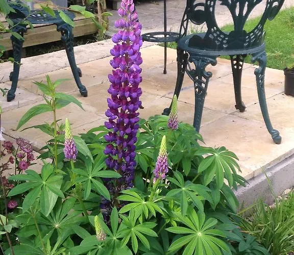 بيت ضيافة Rebels Hide -self Check In Clifton (Cumbria)