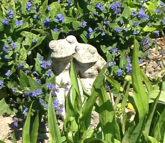 Rebels Hide -self Check In 3*