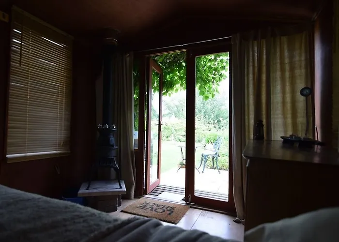 Rebels Hide -self Check In