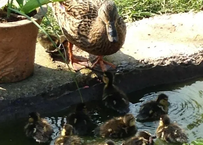 Rebels Hide -self Check In Clifton (Cumbria)