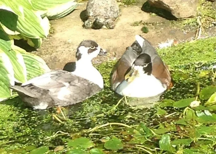 Rebels Hide -self Check In بيت ضيافة 3*