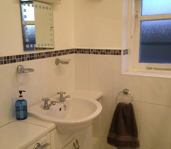 Rebels Hide -self Check In