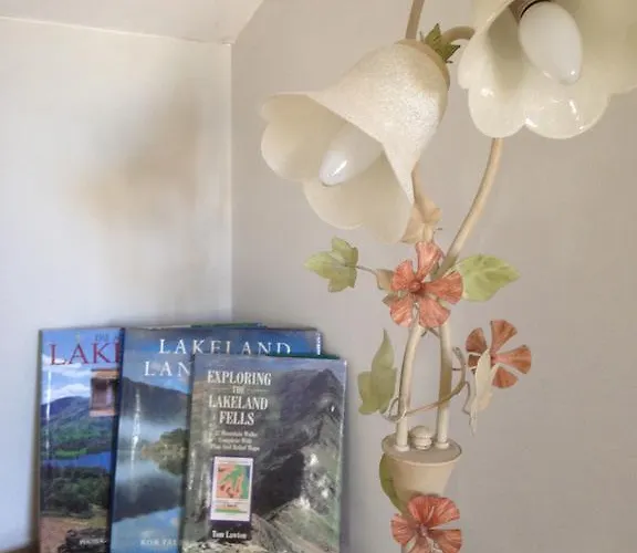 Rebels Hide -self Check In