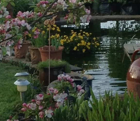 بيت ضيافة Rebels Hide -self Check In