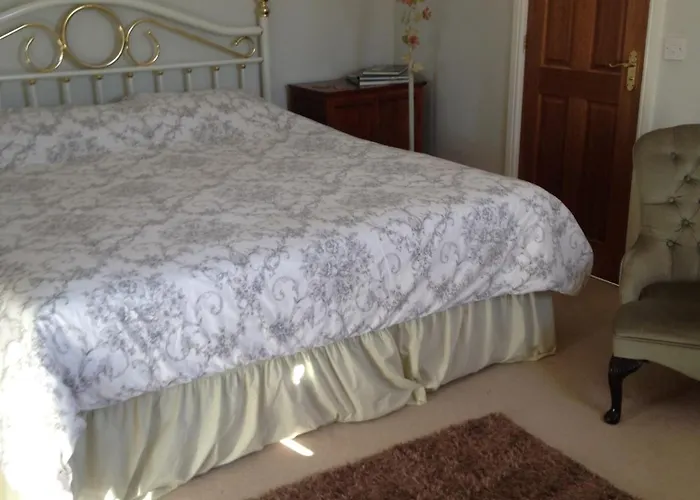 Rebels Hide -self Check In