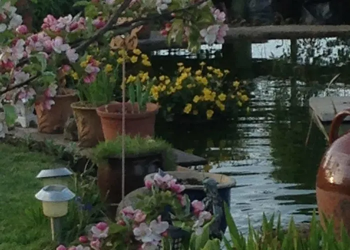 Rebels Hide -self Check In 3*